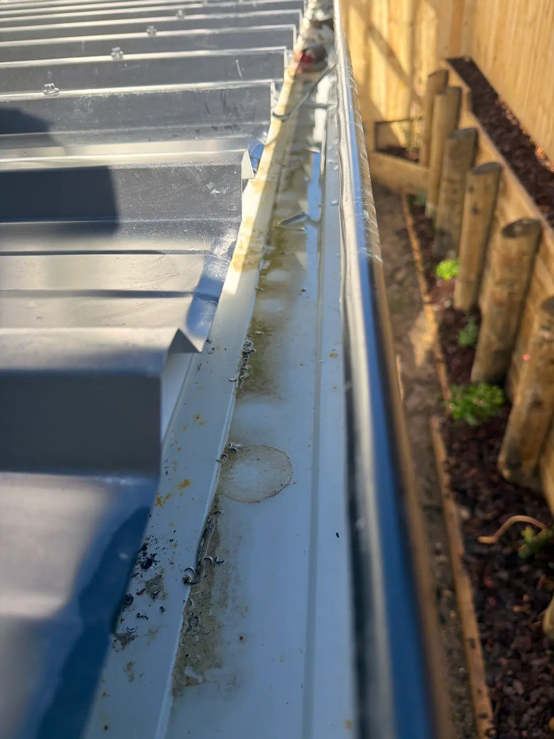 Standing water and debris visible in roof gutter of brand-new townhouse